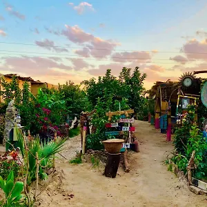  Glamping Bedouin Egitto